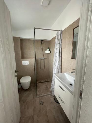 a bathroom with a shower and a toilet and a sink at Hotel Lavanda in Piteasca