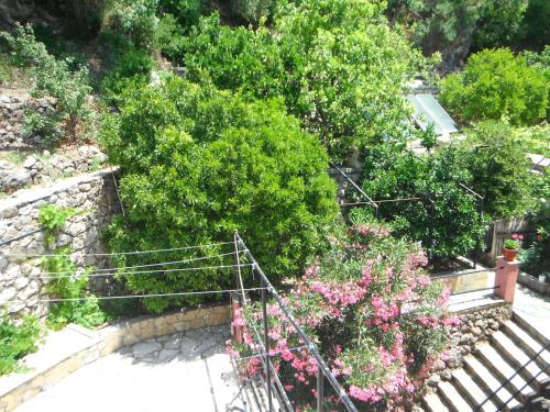 a set of stairs with flowers and bushes at Dimitris Apartments in Vasiliki
