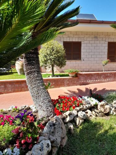 a palm tree and flowers in a garden at Il Sogno delle Rondini in Palidoro