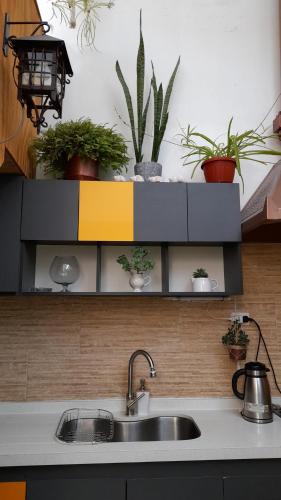 uma cozinha com um lavatório e alguns vasos de plantas em Casa Fibonacci em Valparaíso