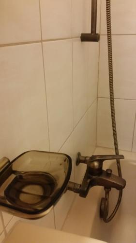 a dirty toilet in a bathroom with a hose at Gästezimmer in Zürich