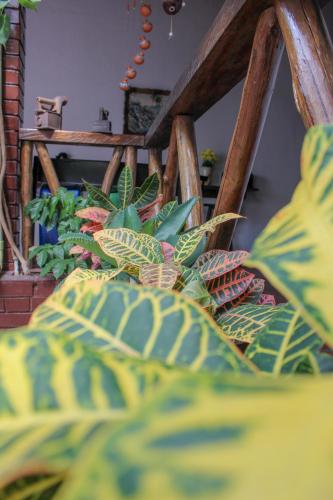 ヒロンにあるHotel Colonial San Felipeのギャラリーの写真