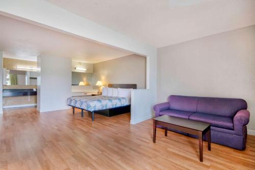 a living room with a purple couch and a bed at Motel 6-Springfield, OH in Springfield