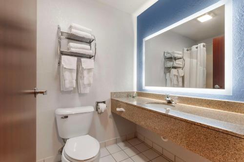 een badkamer met een toilet en een wastafel met een spiegel bij Best Western Sycamore Inn in Sycamore