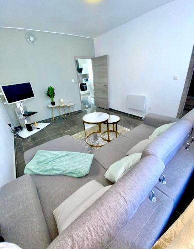 Μια τηλεόραση ή/και κέντρο ψυχαγωγίας στο appartement douvres