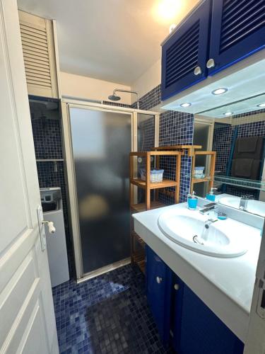 W łazience znajduje się umywalka i prysznic. w obiekcie Unique : Pieds dans l'eau face au lagon w mieście Sainte-Anne