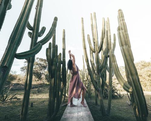 a woman in a dress standing in front of a cactus at Hacienda San Antonio Millet in Tixkokob