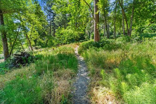 a trail in the woods with tall grass and trees at Weasku Inn in Grants Pass