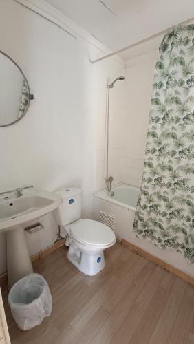 La salle de bains est pourvue de toilettes, d'un lavabo et d'un rideau de douche. dans l'établissement Residencial familiar EL Valle, à Copiapó