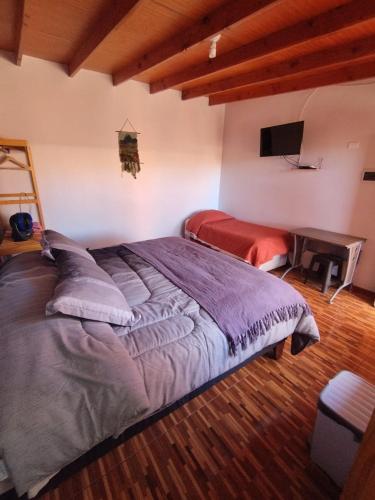 una camera con un grande letto e una TV di Hostal Perita a San Pedro de Atacama