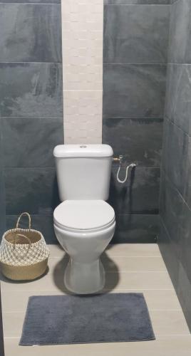 a bathroom with a white toilet and a blue rug at Villa Gardenia in Kourou