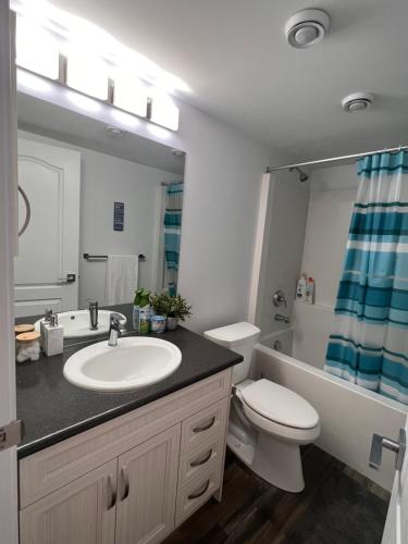 a bathroom with a sink and a toilet and a mirror at Well furnished Basement Suite-With Private Entrance in Winnipeg