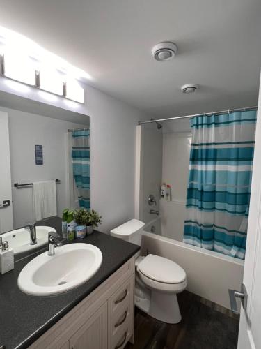 een badkamer met een wastafel, een toilet en een bad bij Well furnished 1 Bedroom Basement Suite in Winnipeg