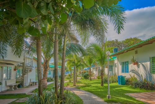 una fila de palmeras delante de las casas en Apartamento Coveñitas 8, en Coveñas