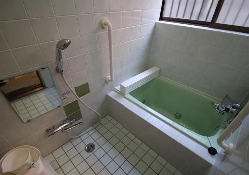 HIDAKA STAY VILLA 柴又 في طوكيو: حمام مع حوض استحمام أخضر ومرحاض