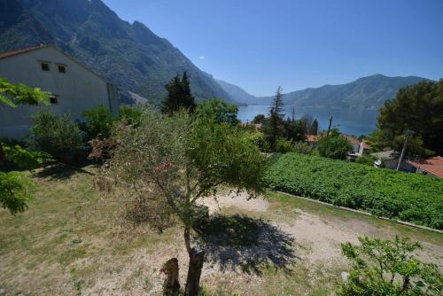 a tree on a hill with a view of a lake at B & M Apartments in Kotor
