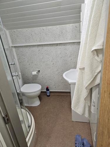 een kleine badkamer met een toilet en een wastafel bij One bedroom apartment in Birmingham