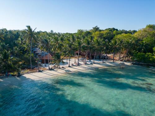 an aerial view of a beach with palm trees at Eco Casa in Karimunjawa