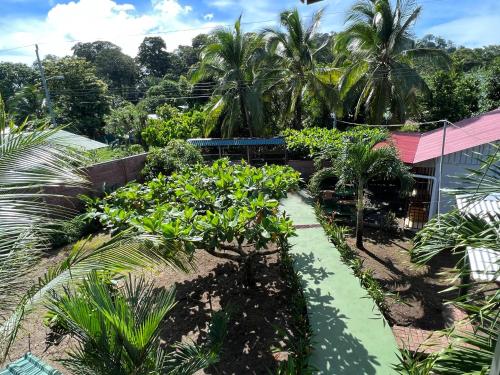 a garden in front of a building with trees at Tortuguero Hill Rooms in Tortuguero