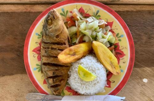 a plate of food with fish and rice and vegetables at Diegun Tours in Panama City