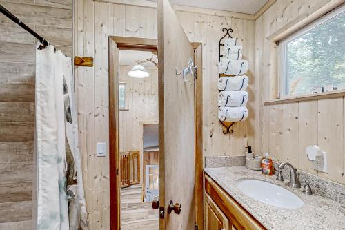 een badkamer met een wastafel en een spiegel bij The Little Dude Cabin in Franklin