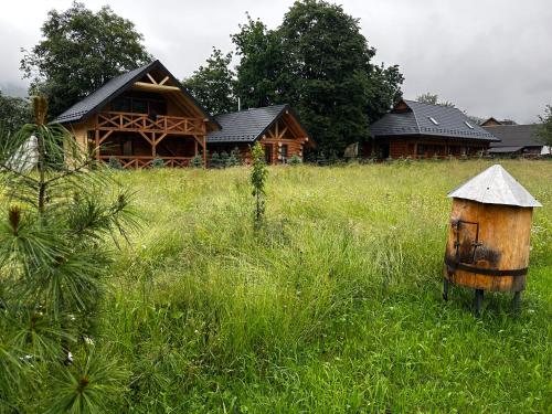 a house in a field of tall grass with a bird house at Chalet PidStromom in Mykulychyn