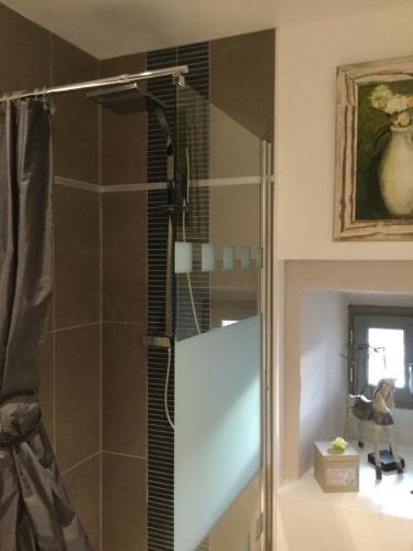 a shower with a glass door in a bathroom at La ferme de Félix in La Chaze-de-Peyre