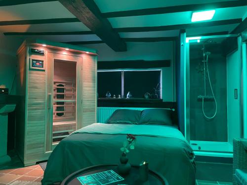 ein blaues Schlafzimmer mit einem Bett und einer Dusche in der Unterkunft Casawellness améthyste ou jaspe océan avec jacuzzi intérieur in Floreffe