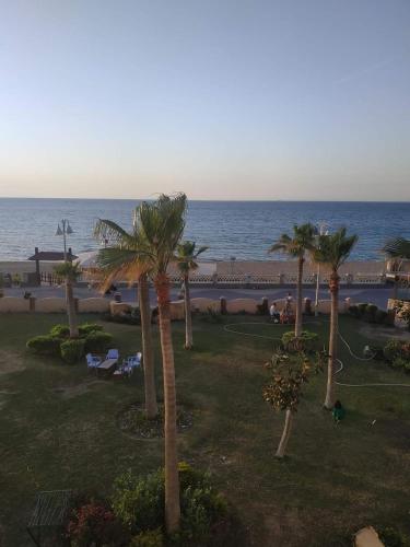 - une vue sur un complexe avec des palmiers et l'océan dans l'établissement المعمورة الشاطئ, à Alexandrie