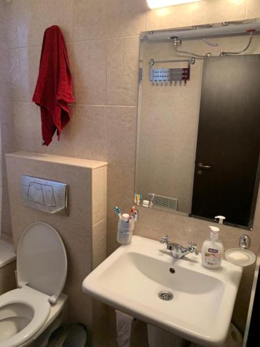 a bathroom with a sink and a toilet and a mirror at Private Apartment Pirin Golf Club with Lake View in Razlog