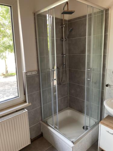 a bathroom with a shower and a sink at Modernes Appartement "Tom" mit 3 Schlafzimmern in Kröllwitz