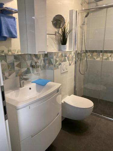 a bathroom with a toilet and a sink and a shower at Apartment Emma in Piran