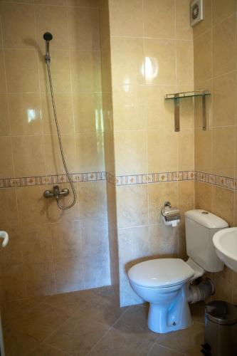 a bathroom with a toilet and a shower at Rusaliite Adventure House in Bachevo