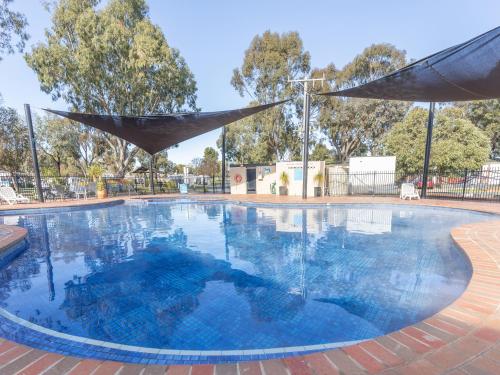 a large swimming pool with blue water and umbrellas at NRMA Echuca Holiday Park in Echuca