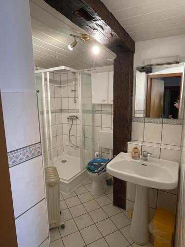 uma casa de banho com um lavatório, um chuveiro e um WC. em "Altes Haus" am Kurpark in den Bergen em Zorge