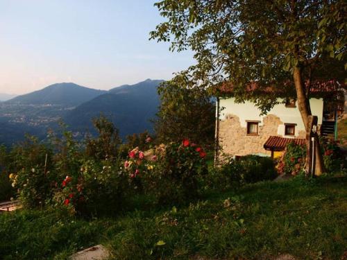 a house on the side of a hill with flowers at Agriturismo Al Marnich in Schignano