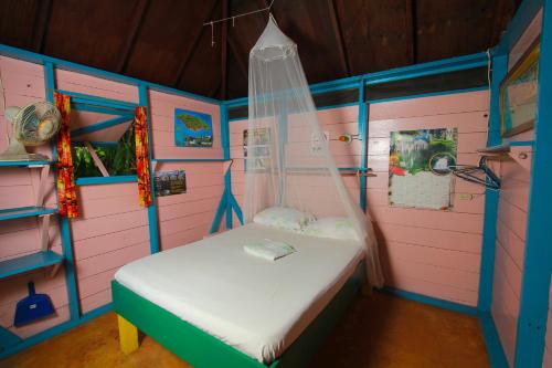 Manchioneal的住宿－錫安鄉村住宿加早餐旅館，粉红色和蓝色的房间,里面设有一张床