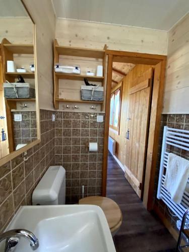 une petite salle de bain avec toilettes et lavabo dans l'établissement Le chalet des coeurs, à Le Tholy