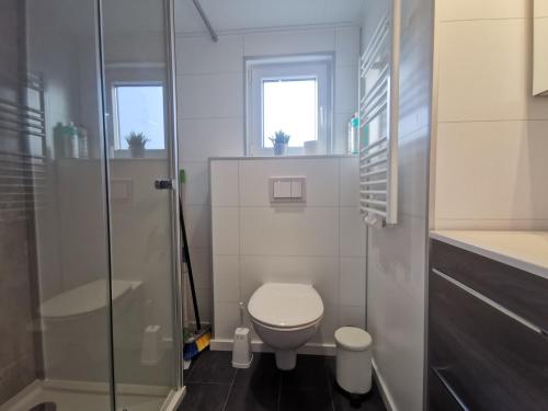a bathroom with a toilet and a glass shower at Lotse 01 in Neustadt in Holstein