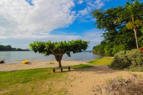 a bench sitting on the beach next to a tree at Zion Country in Manchioneal