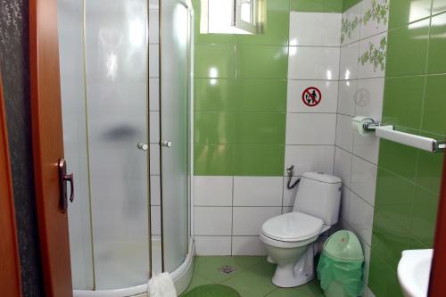 a green and white bathroom with a toilet and a shower at Pensiunea La Tase in Calafat