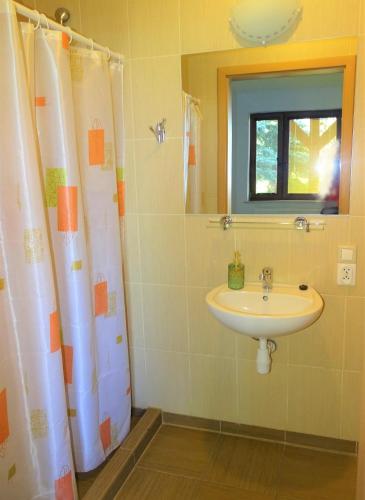 a bathroom with a sink and a shower at Mimoza Gospodarstwo Agroturystyczne in Bartoszyce
