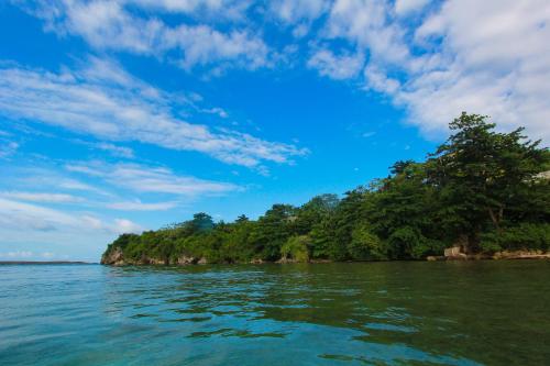 a small island in the middle of a body of water at Zion Country in Manchioneal