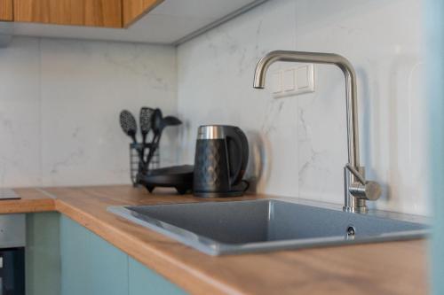 ヴォロスにあるOrion Residence Ιのキッチン(シンク、電化製品付)