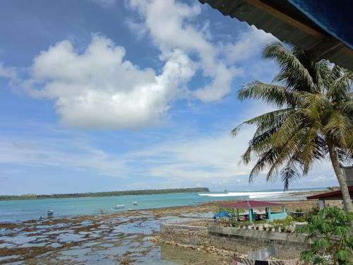 una playa con una palmera y el océano en Friendly losmen, en Lagudri