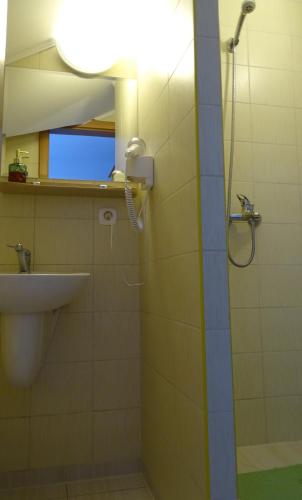 a bathroom with a shower and a sink and a mirror at Mimoza Gospodarstwo Agroturystyczne in Bartoszyce
