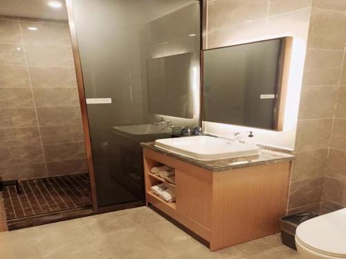 a bathroom with a sink and a toilet and a mirror at GreenTree Eastern Hotel Jiangsu Wanda Plaza Ocean University Huangguoshan in Lianyungang