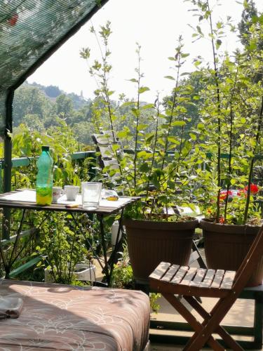 a table and chairs sitting on a patio with plants at Apartments Emily in Sarajevo