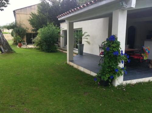 a porch of a house with a plant with blue flowers at Vacances révées au Pin Parasol in Le Thor