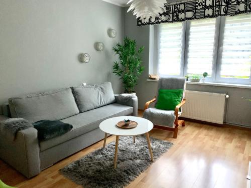 Apartament Joanna parter blisko Rynku, Onkologii i strefy ekonomicznej